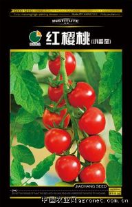 供应红樱桃--番茄种子
