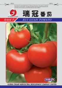 供应瑞冠番茄种子