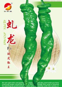 供应虬龙—辣椒种子
