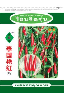 供应泰国艳红—辣椒种子