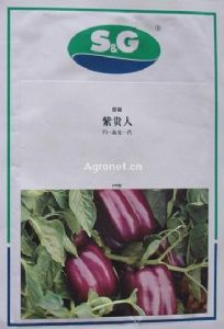 供应紫贵人—甜椒种子