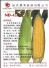美国型超甜玉米种子：ND－416