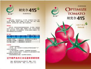 供应耐克尔415—番茄种子