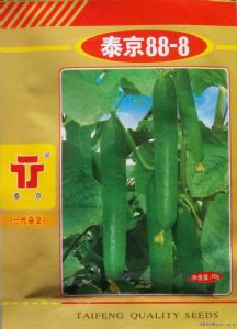 供应泰京88-8—黄瓜种子