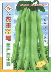 供应农丰33号高产白玉豆—豇豆种子