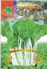 新世纪港种改良白骨柳叶空心菜(208)——白梗空心菜种子