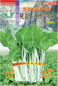 新世纪港种改良纯白骨大叶空心菜(308)——白梗空心菜种子