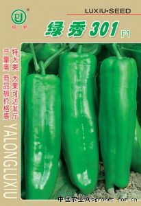 供应绿秀301—辣椒种子