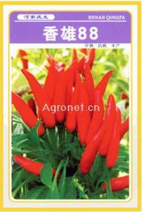 香雄88——辣椒种子