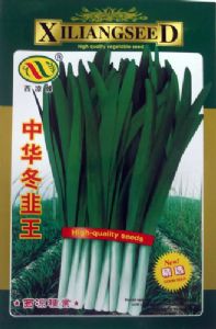 供应中华冬韭王—韭菜种子
