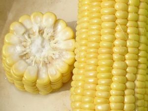 田蜜一号—超甜玉米种子