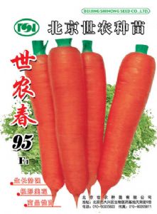 供应世农春95F1--胡萝卜种子