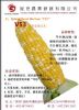 美国型超甜玉米种子：V－53