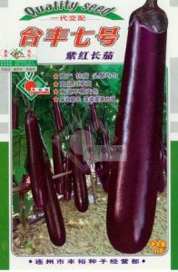 供应台丰七号紫红长茄-茄子种子