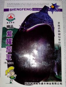 供应精品紫罐茄王—茄子种子