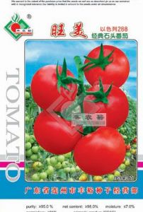 供应旺美-番茄种子