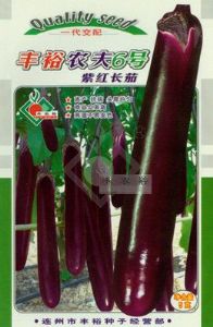 供应丰裕农夫6号紫红长茄-茄子种子