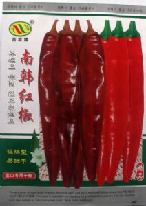 供应南韩红椒—辣椒种子