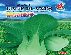 供应精品佳绿—青梗菜种子