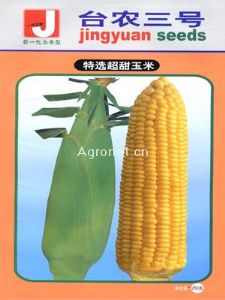 供应台农三号--玉米种子