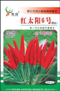 供应红太阳6号—朝天椒种子