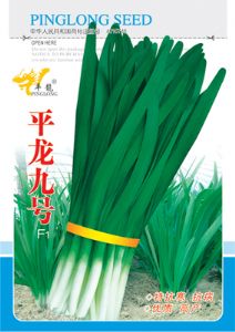 供应平龙九号—韭菜种子