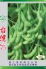 供应台湾75-菜豆种子