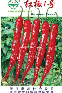 供应红椒1号-辣椒种子