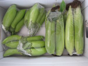 供应蔬菜组合装玉米、茄子