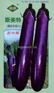 供应斯美特紫红长茄—茄子种子