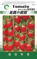 供应亚蔬小甜甜---台湾小番茄