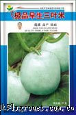 供应极品早生三叶米—冬瓜种子