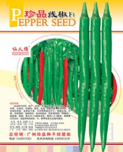 供应珍品线椒F1—辣椒种子