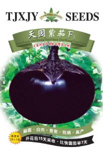 供应天津杂交茄子新品种