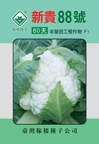 供应新贵88号—花椰菜种子