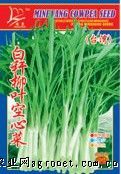 供应台湾白梗柳叶空心菜——空心菜种子