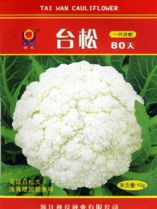 供应台湾松花80天—花椰菜种子