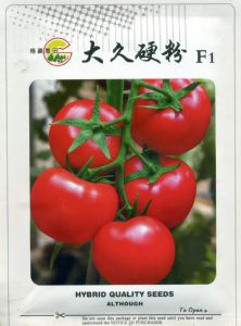 供应大久硬粉F1—番茄种子