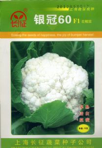 供应银冠60F1—花椰菜种子
