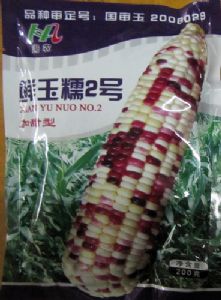 供应鲜玉糯2号—玉米种子