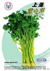 供应上海黄心芹—芹菜种子