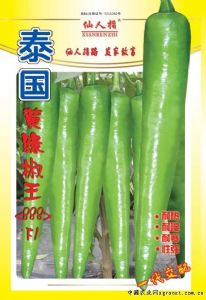 供应泰国黄绿椒王—辣椒种子