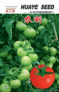 供应农利番茄—番茄种子