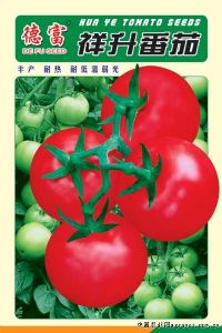 供应祥升番茄—番茄种子