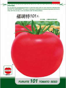 福瑞特101——番茄种子