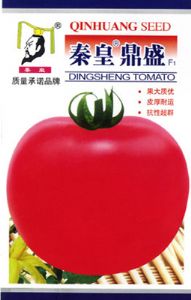 供应秦皇鼎盛—番茄种子