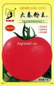 供应大秦粉王F1番茄—番茄种子