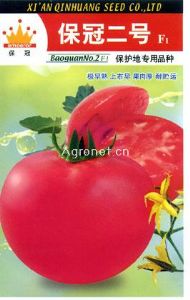 保冠二号—番茄种子