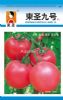 供应东圣九号——番茄种子