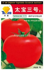 供应太宝三号—番茄种子